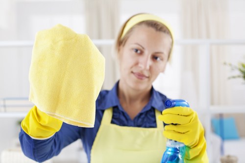 Mattress cleaning equipment used in a humid Maryland home
