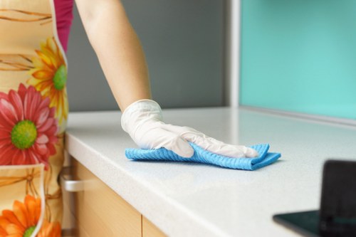 Technician vacuuming and sanitizing a mattress in Maryland