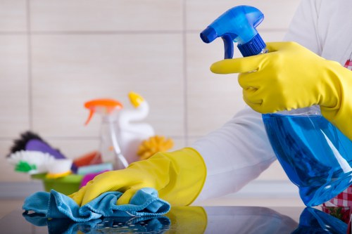 Professional steam carpet cleaning equipment in a Maryland home
