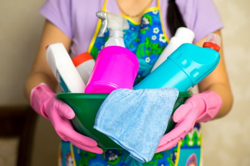 Professional carpet cleaning in a Maryland home living room