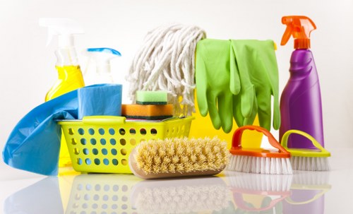 Professional sofa cleaning in a Maryland living room