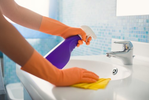 Pet-friendly rug cleaning and odor removal in Maryland