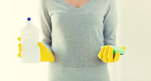 Professional Maryland carpet cleaners working on a residential carpet