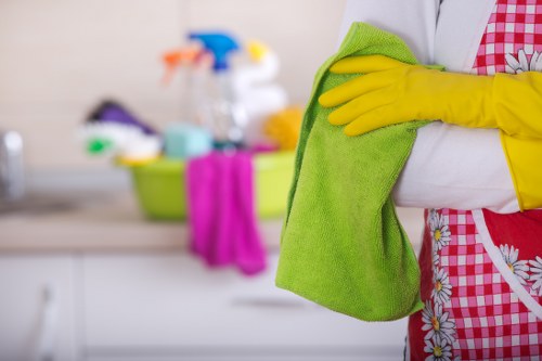 Professional upholstery cleaning in a Maryland living room