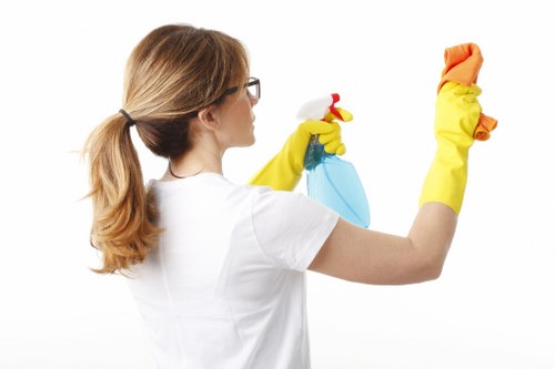 Maryland Carpet Cleaners team applying safe cleaning practices