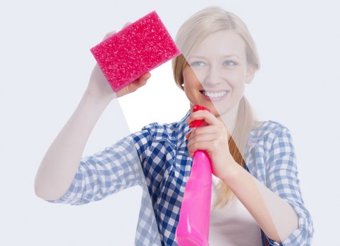 Upholstery cleaning for a home in Maryland