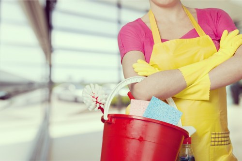 DIY versus professional curtain cleaning in Maryland