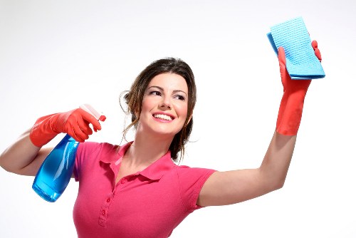 Deep carpet cleaning for stains and odors in Maryland