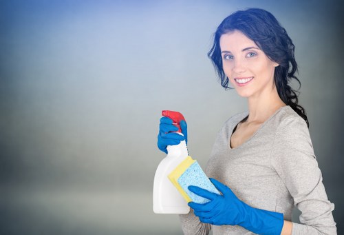 Step-by-step professional rug cleaning process in Maryland