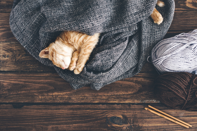 Regular cleaning eco-friendly